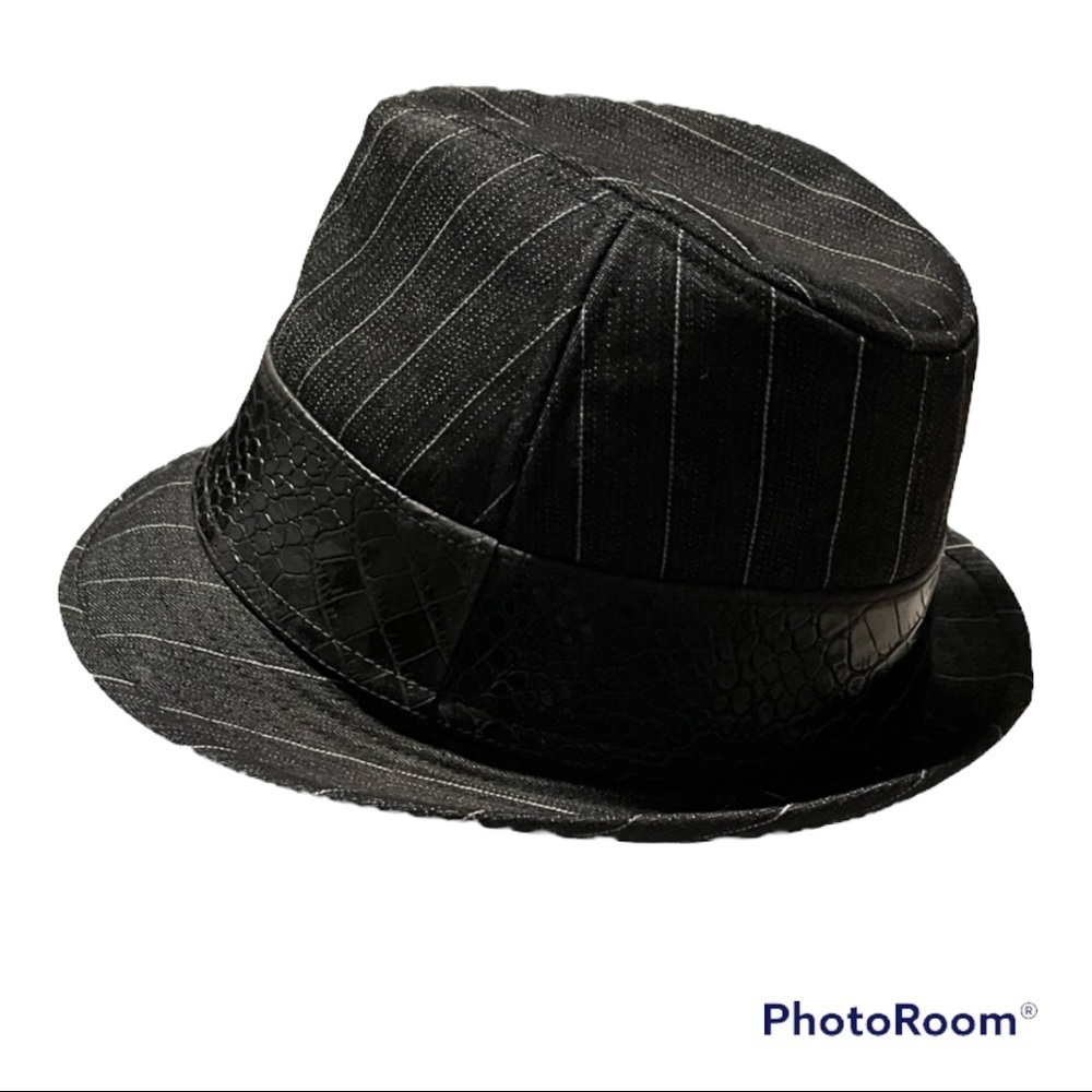NWT Cato Fedora Hat